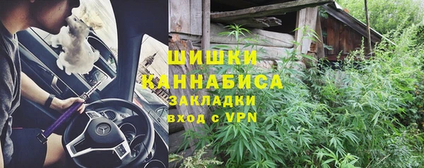 гашик Белокуриха
