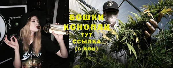 гашик Белокуриха