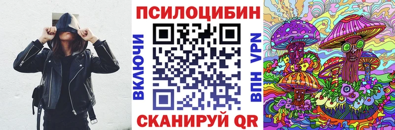 купить   Реж  Псилоцибиновые грибы мицелий 